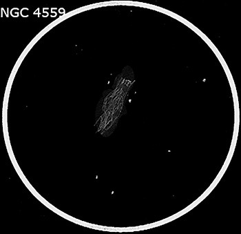 NGC 4559